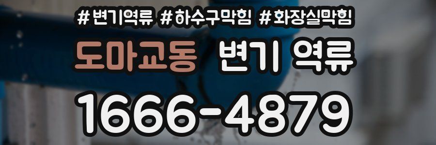 도마교동 변기 역류