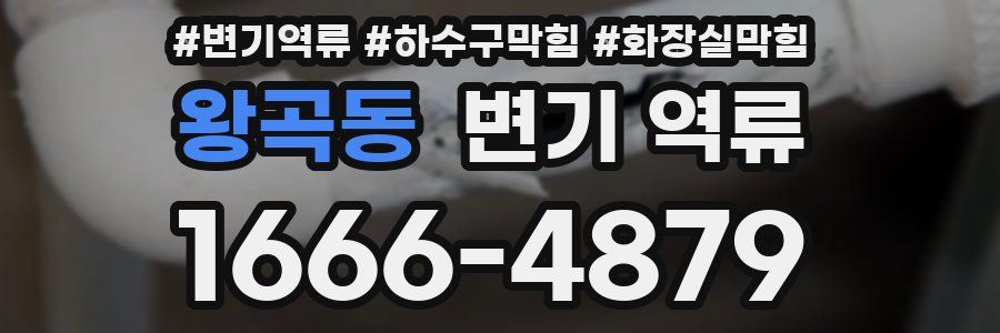 왕곡동 변기 역류