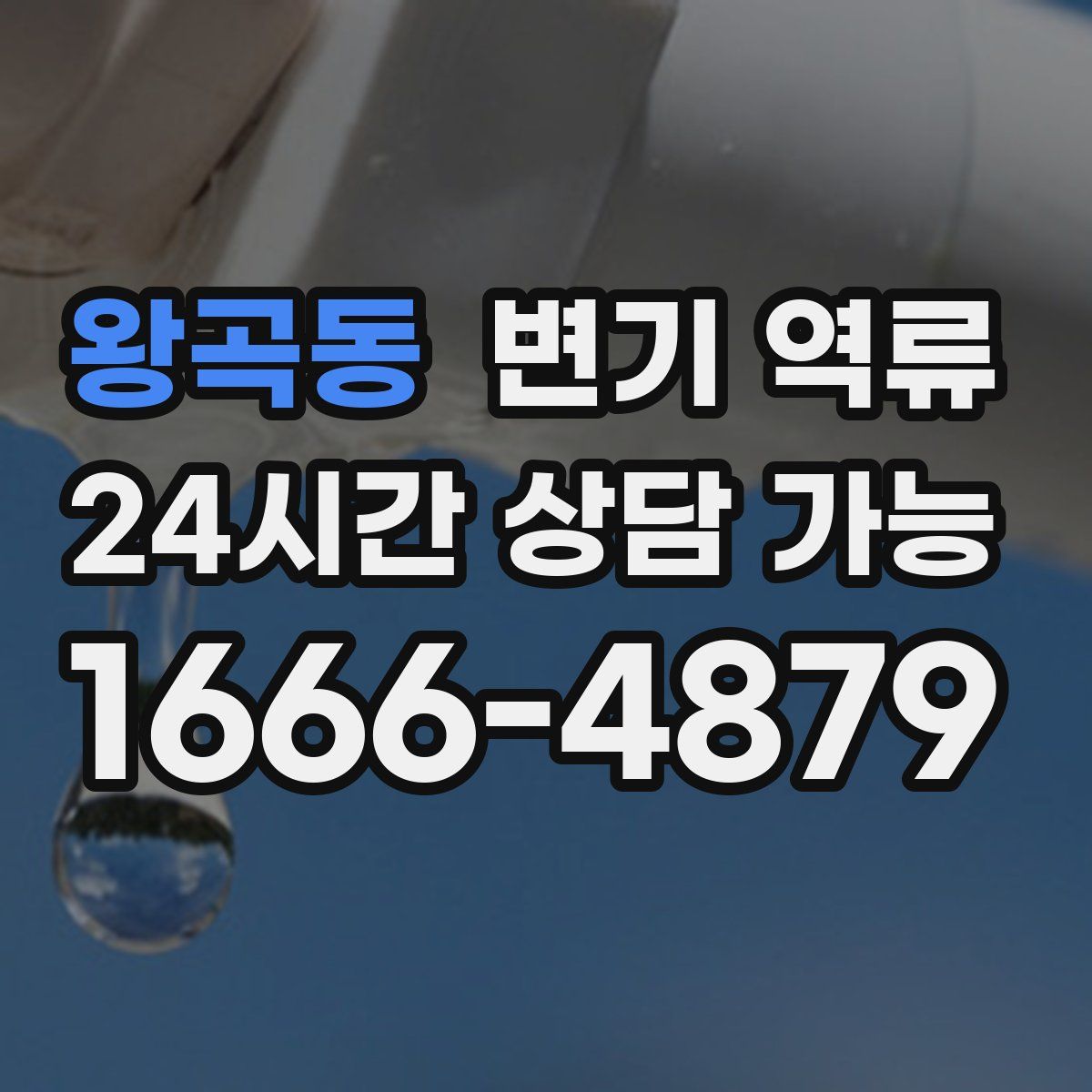 왕곡동 변기 역류