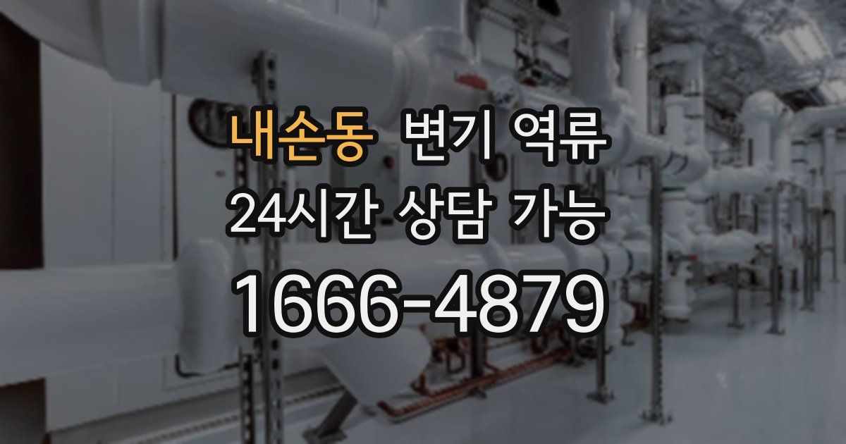 내손동 변기 역류