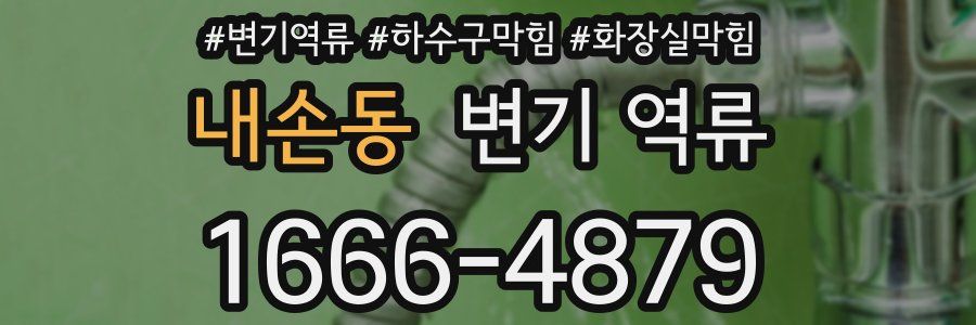 내손동 변기 역류