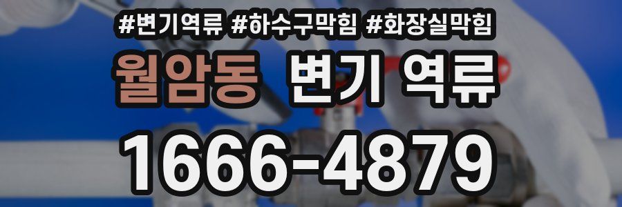 월암동 변기 역류