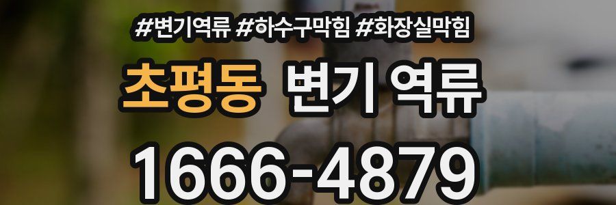 초평동 변기 역류