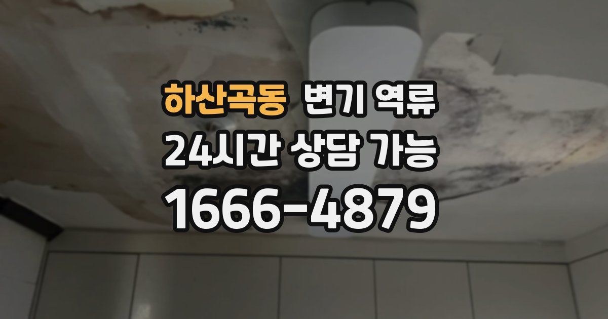 하산곡동 변기 역류