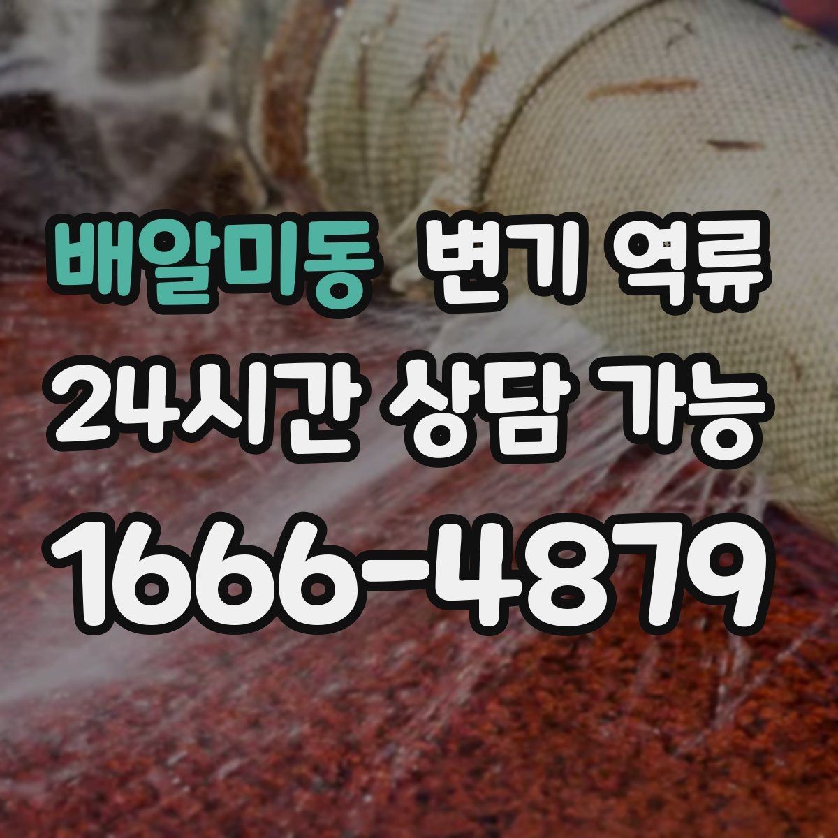 배알미동 변기 역류 한 세대만 발생할 때 점검 순서