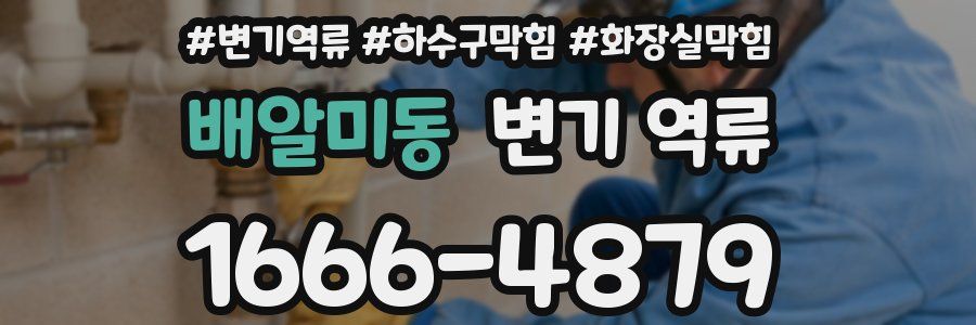 배알미동 변기 역류