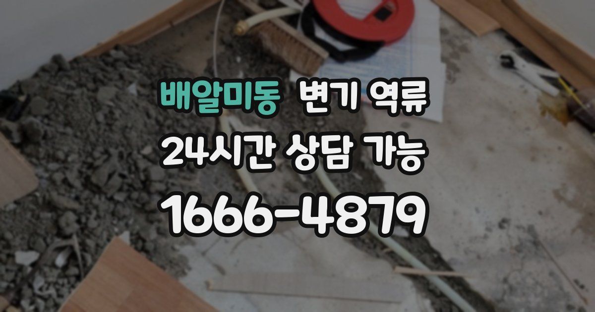 배알미동 변기 역류