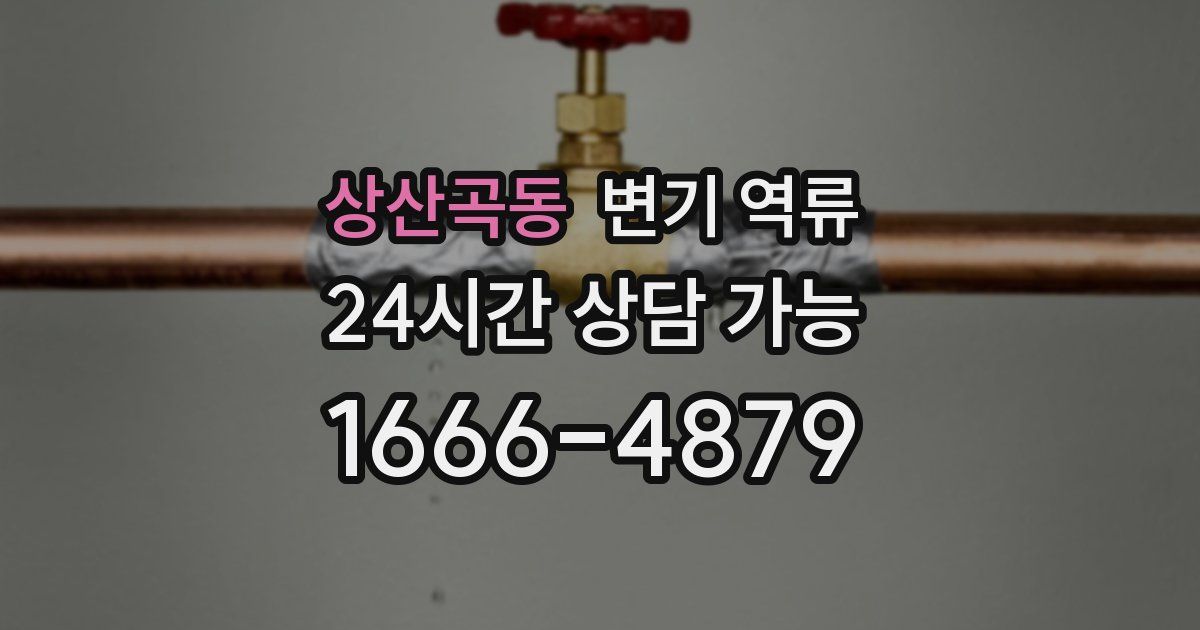 상산곡동 변기 역류