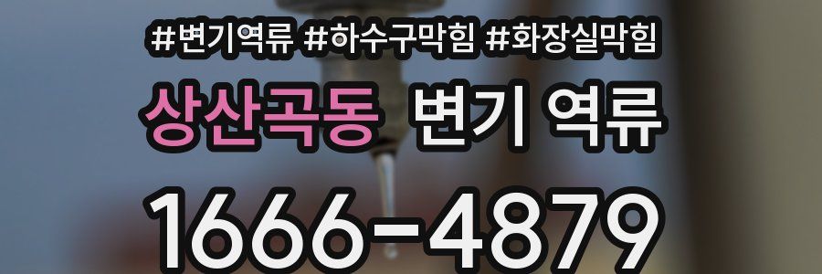 상산곡동 변기 역류