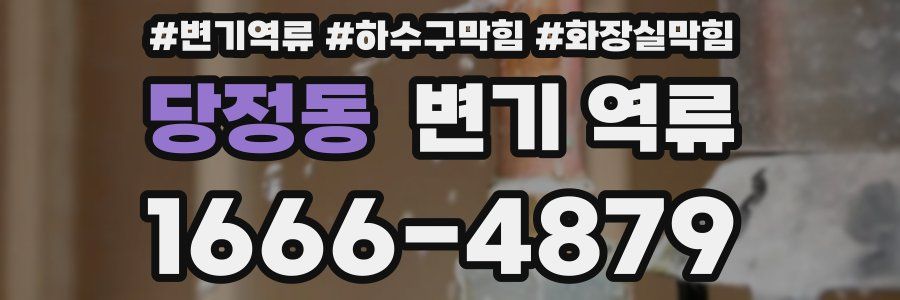 당정동 변기 역류