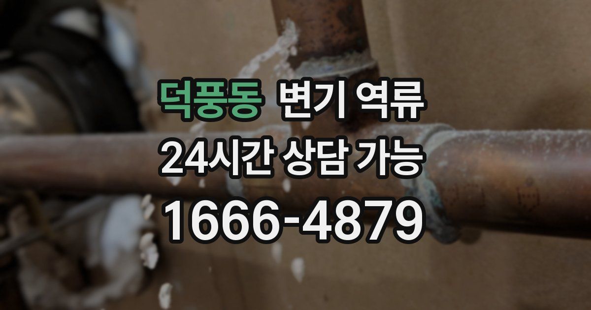 덕풍동 변기 역류