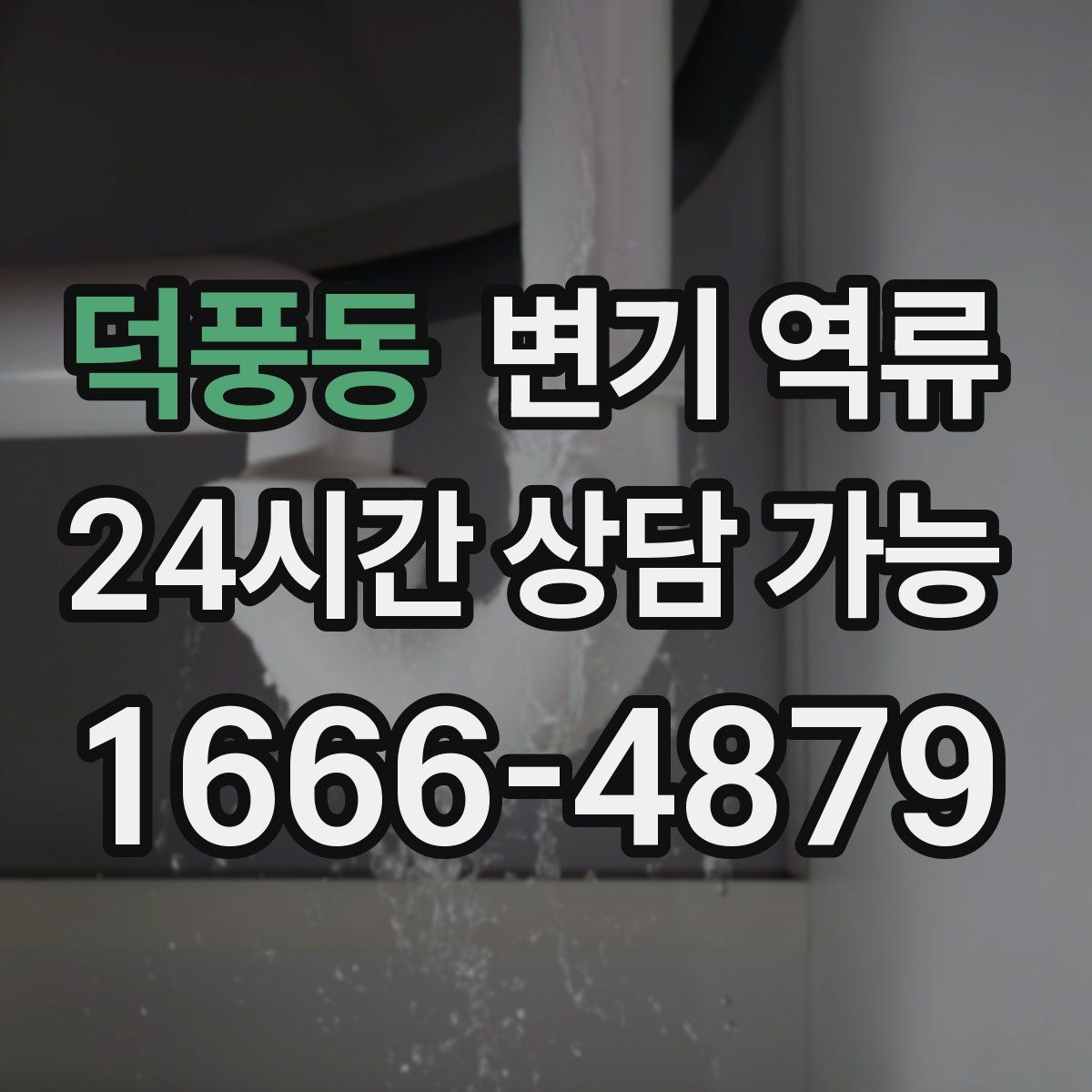 덕풍동 변기 역류