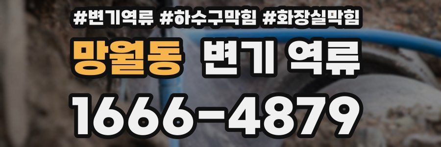 망월동 변기 역류