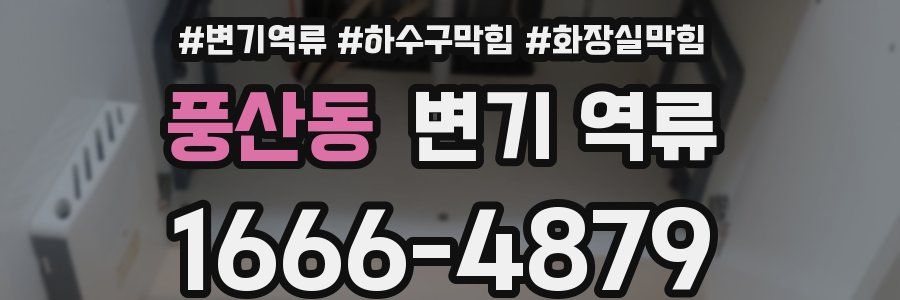 풍산동 변기 역류