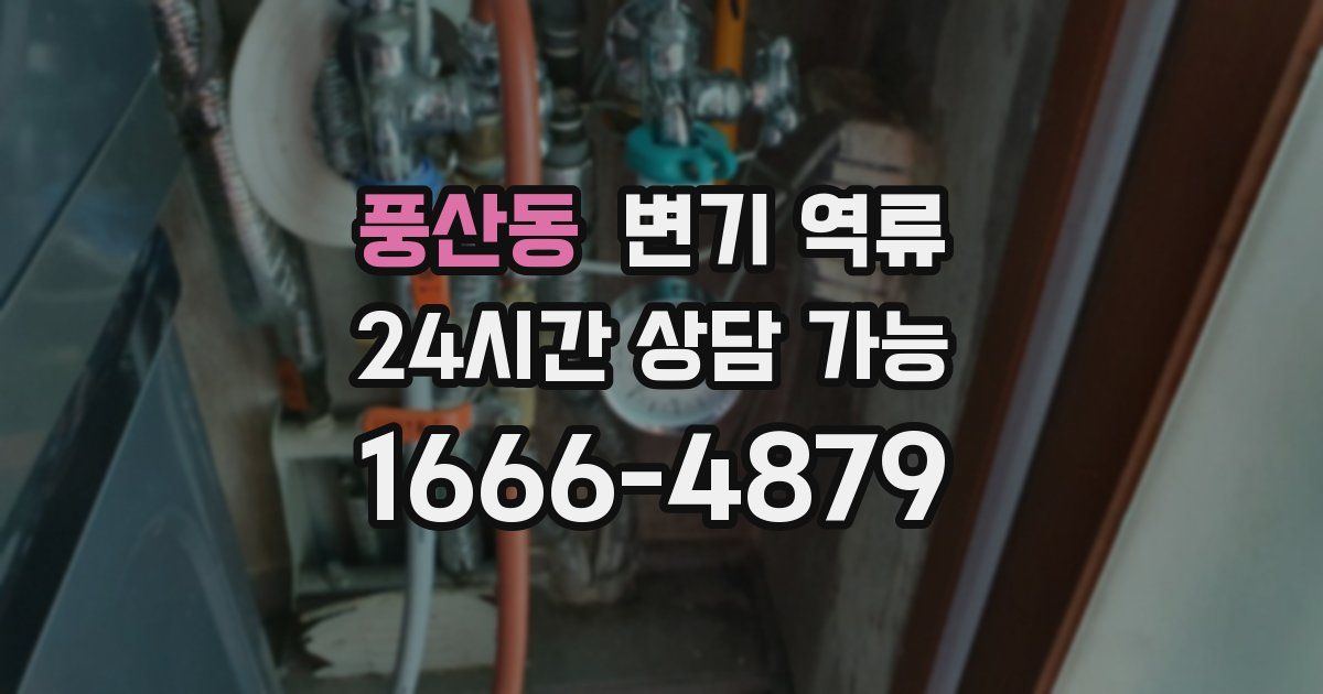 풍산동 변기 역류