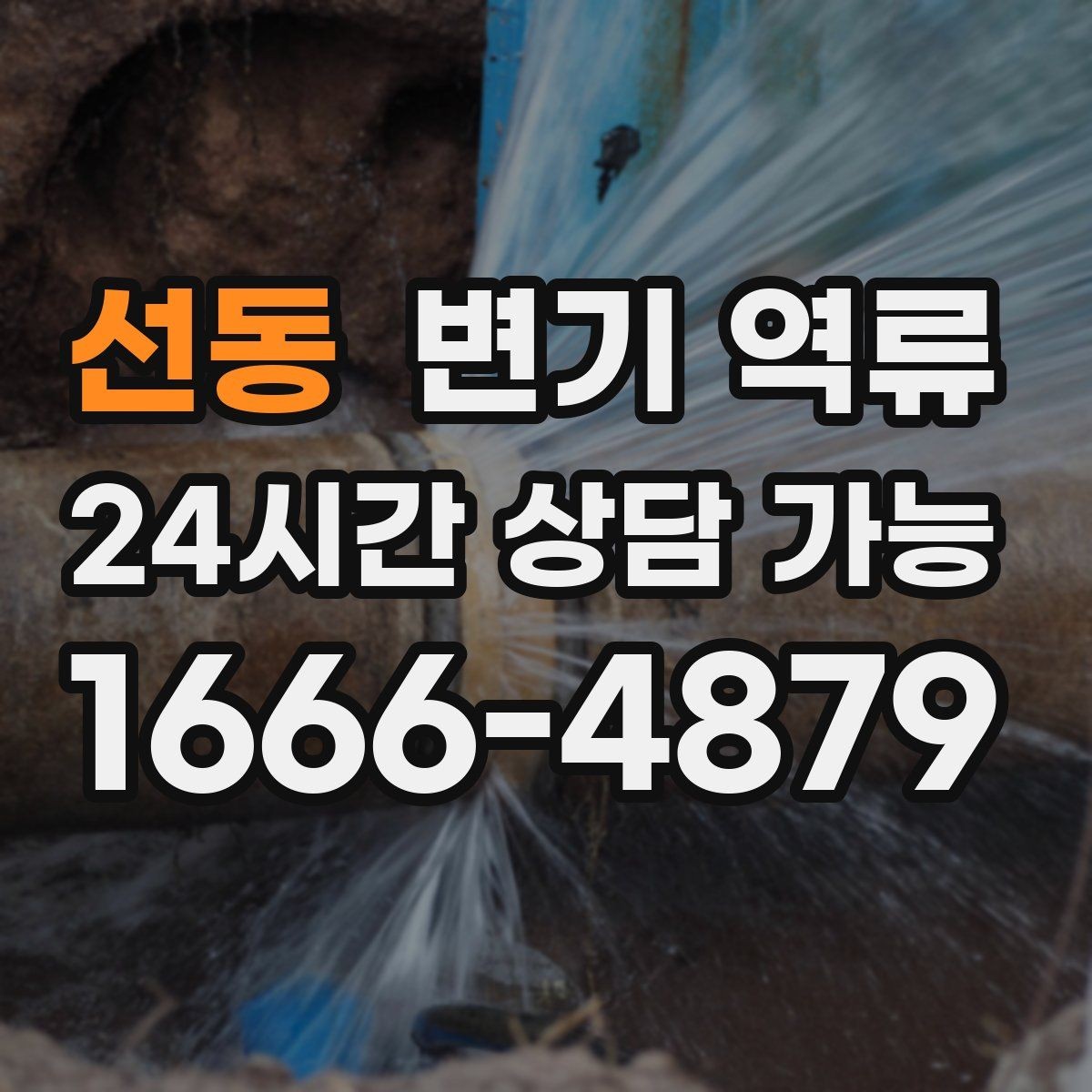 선동 변기 역류 공사 잔재 유입이 의심될 때 특징