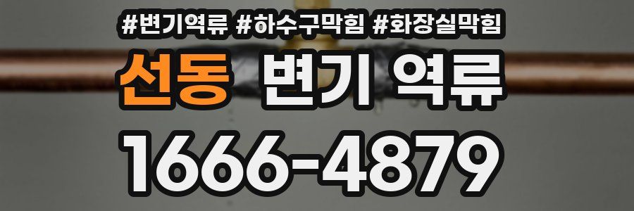 선동 변기 역류