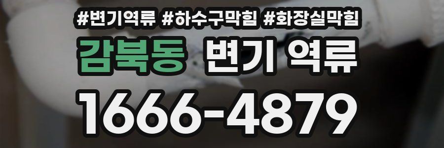 감북동 변기 역류