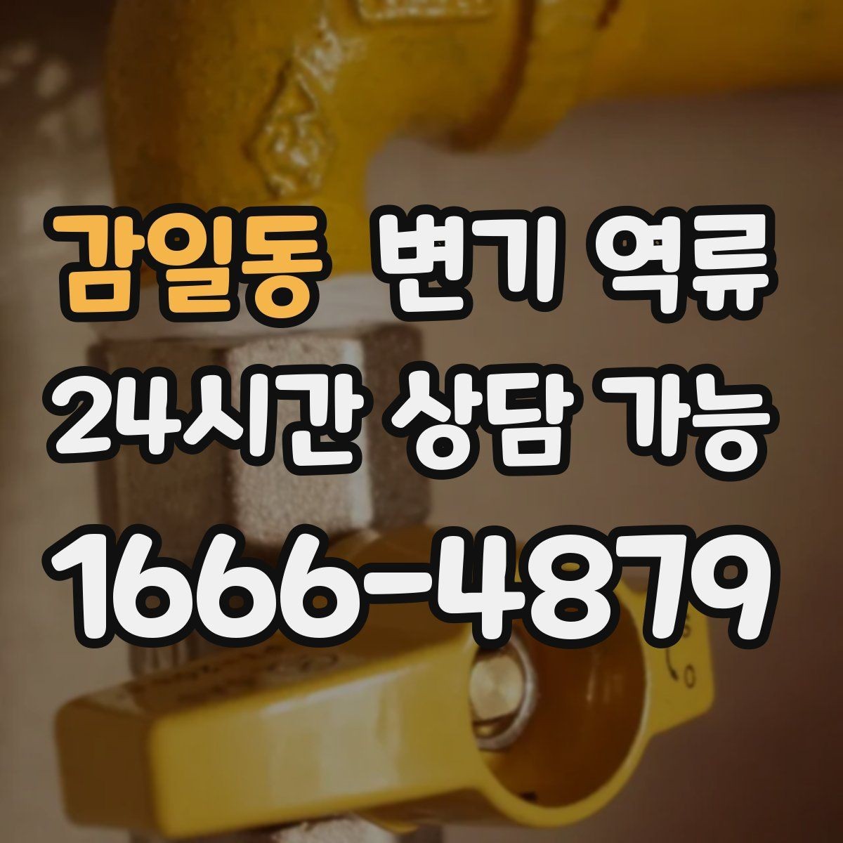 감일동 변기 역류 화학 약품 사용 전 꼭 알아야 할 주의사항