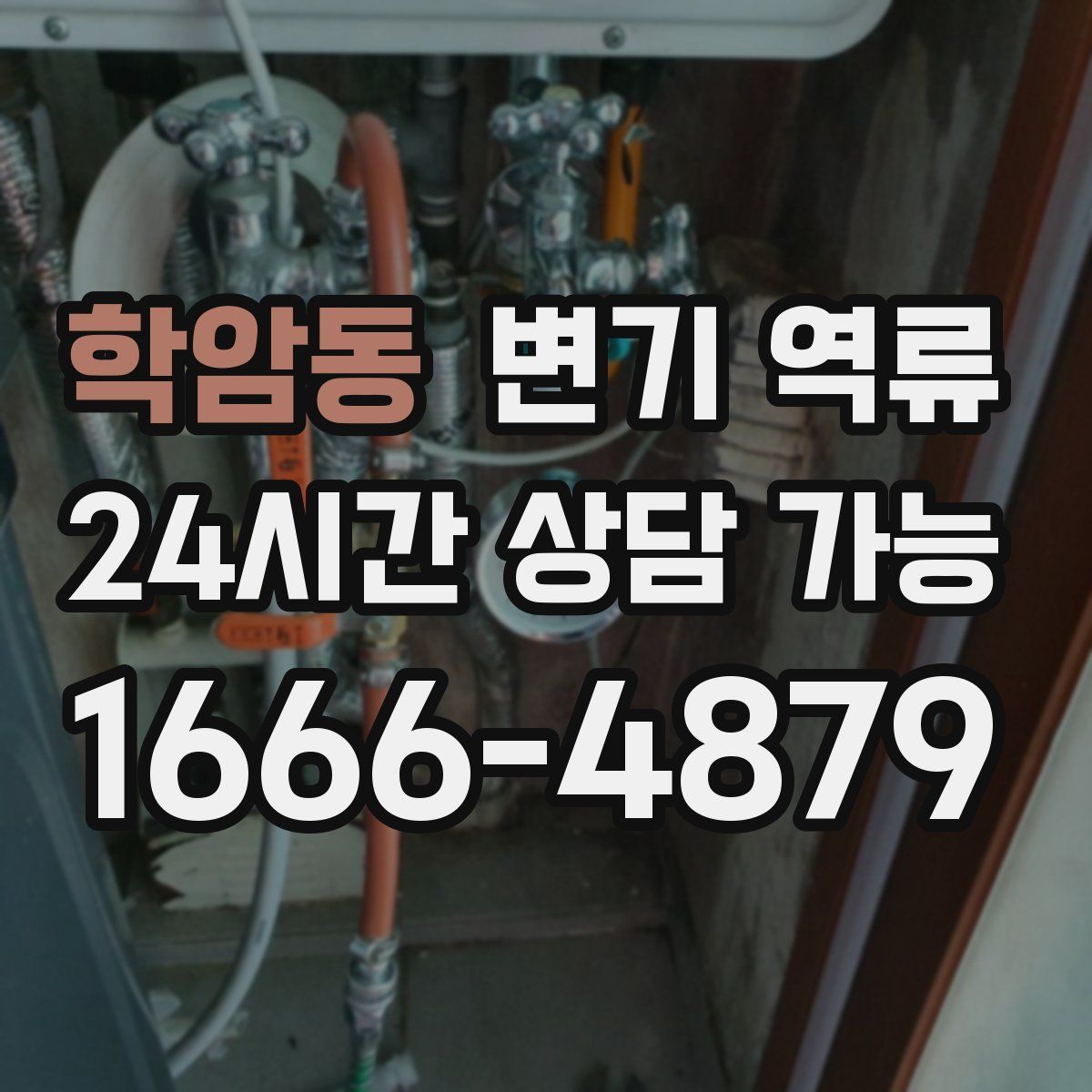 학암동 변기 역류