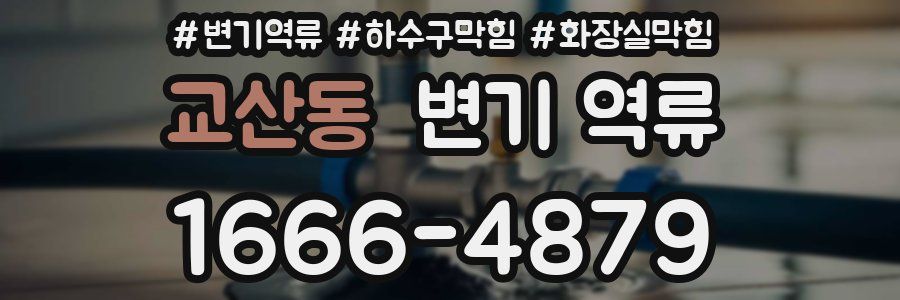 교산동 변기 역류