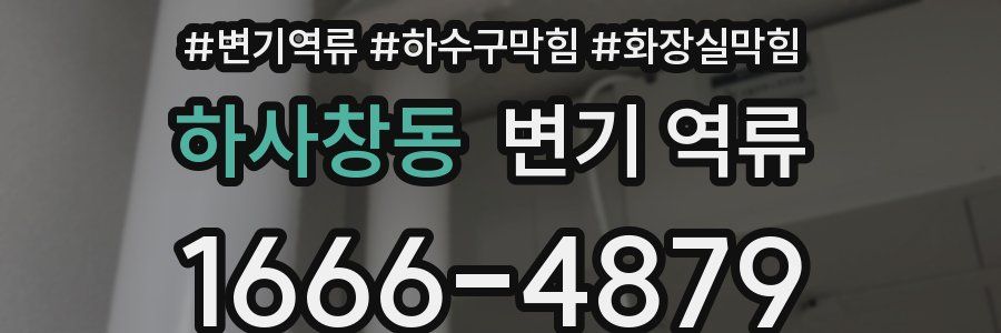 하사창동 변기 역류