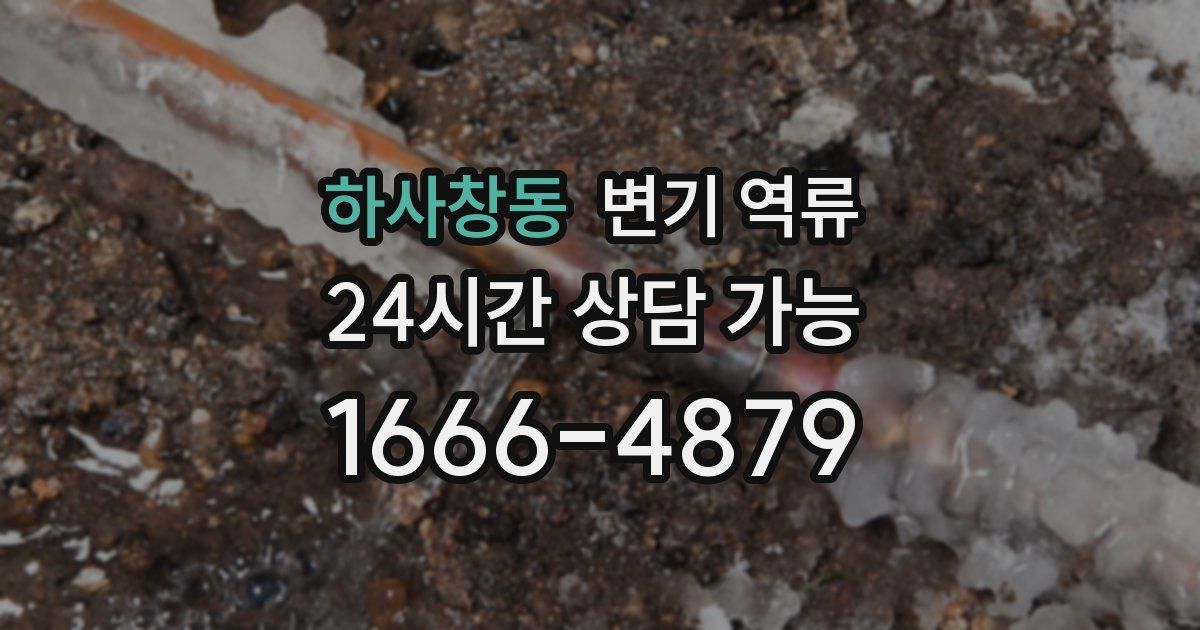 하사창동 변기 역류