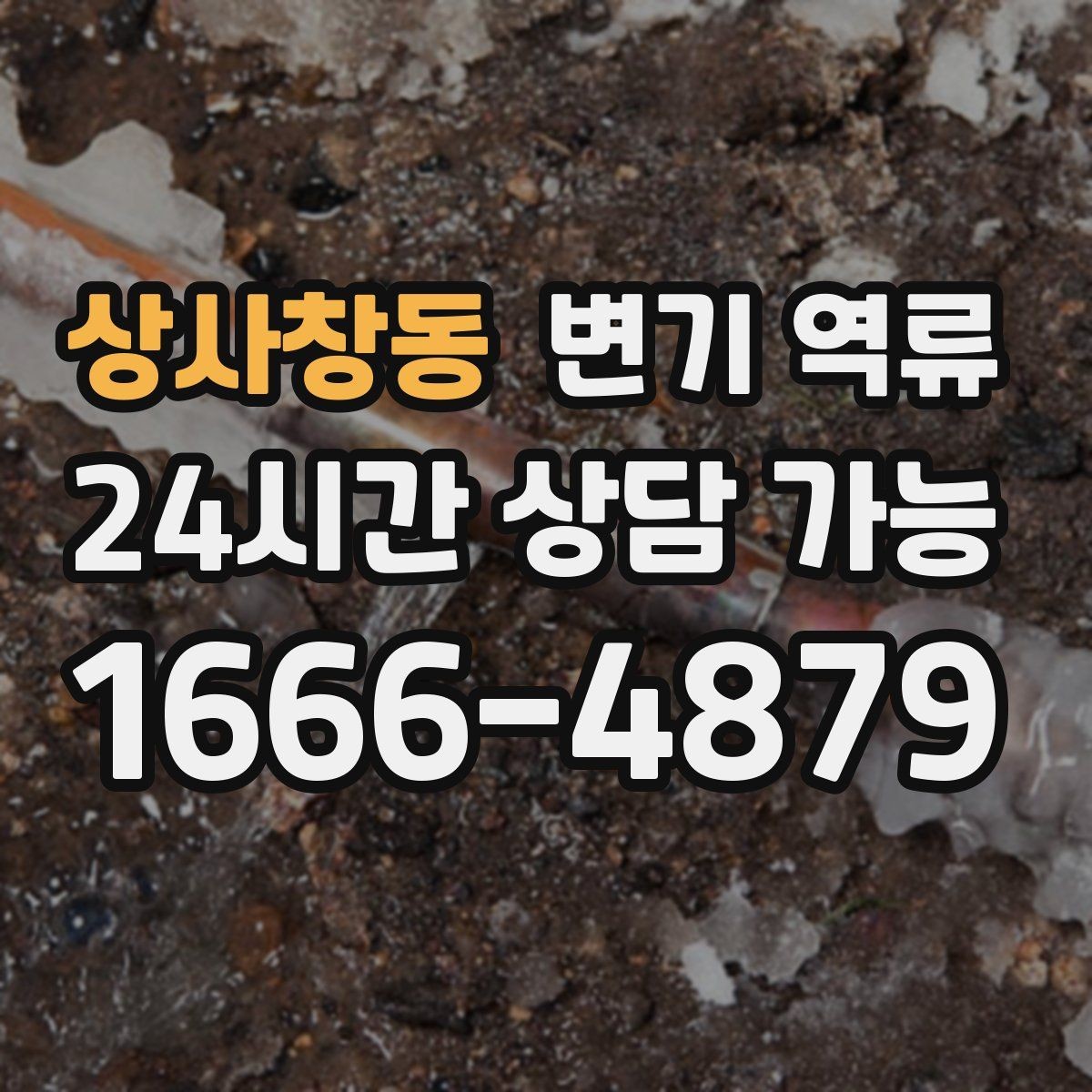 상사창동 변기 역류 물이 맑은지 탁한지로 구분하는 힌트