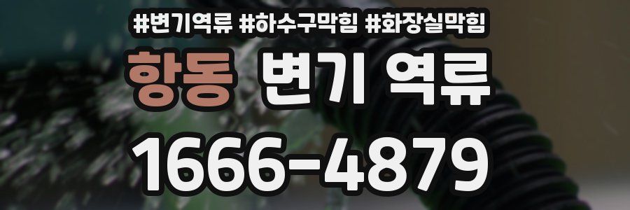 항동 변기 역류