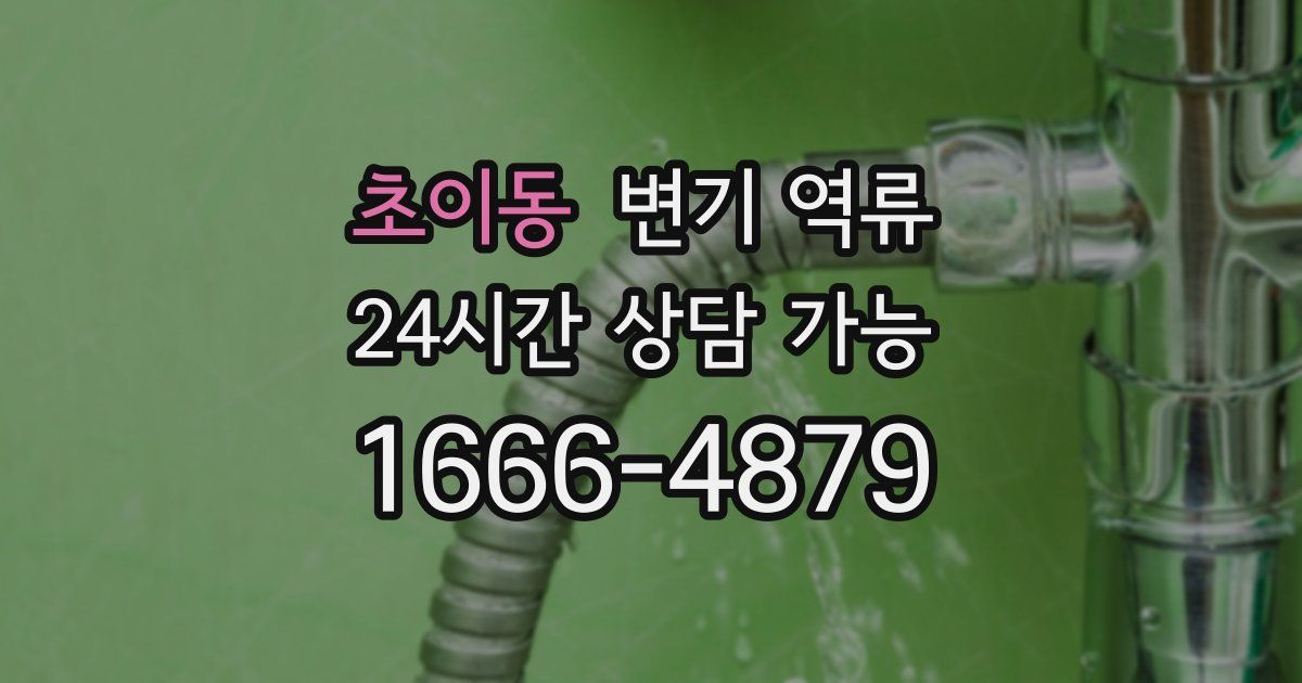 초이동 변기 역류