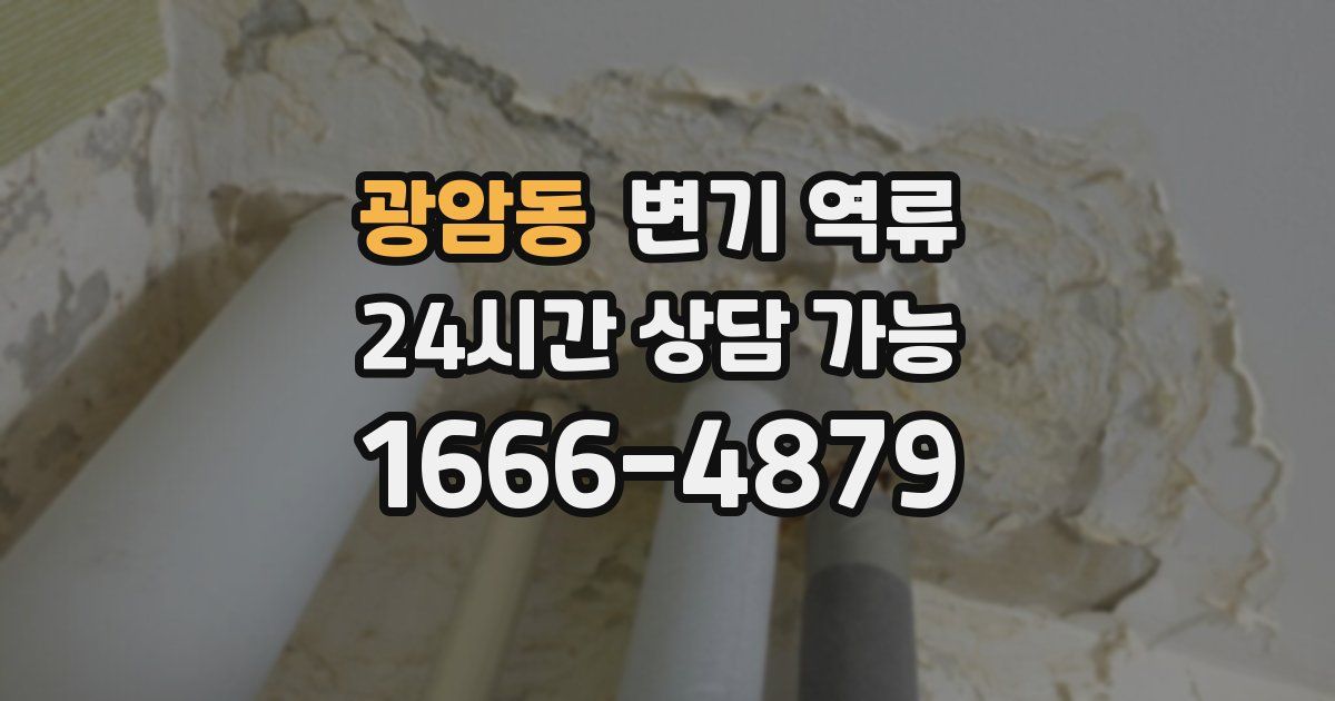 광암동 변기 역류