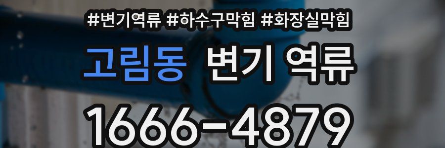 고림동 변기 역류