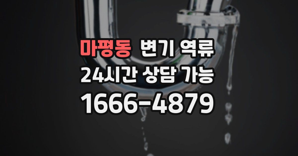 마평동 변기 역류