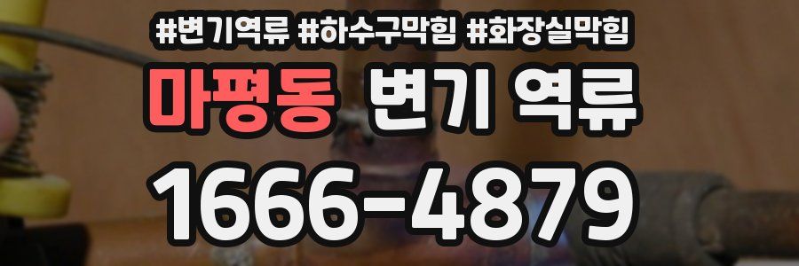 마평동 변기 역류