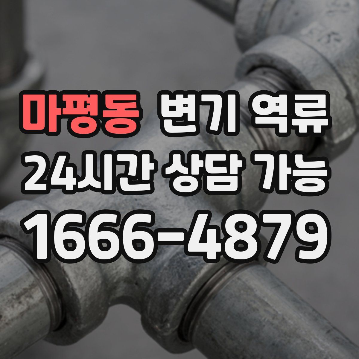 마평동 변기 역류