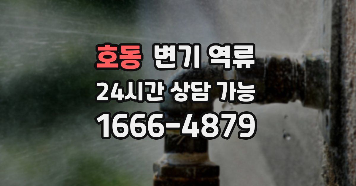 호동 변기 역류