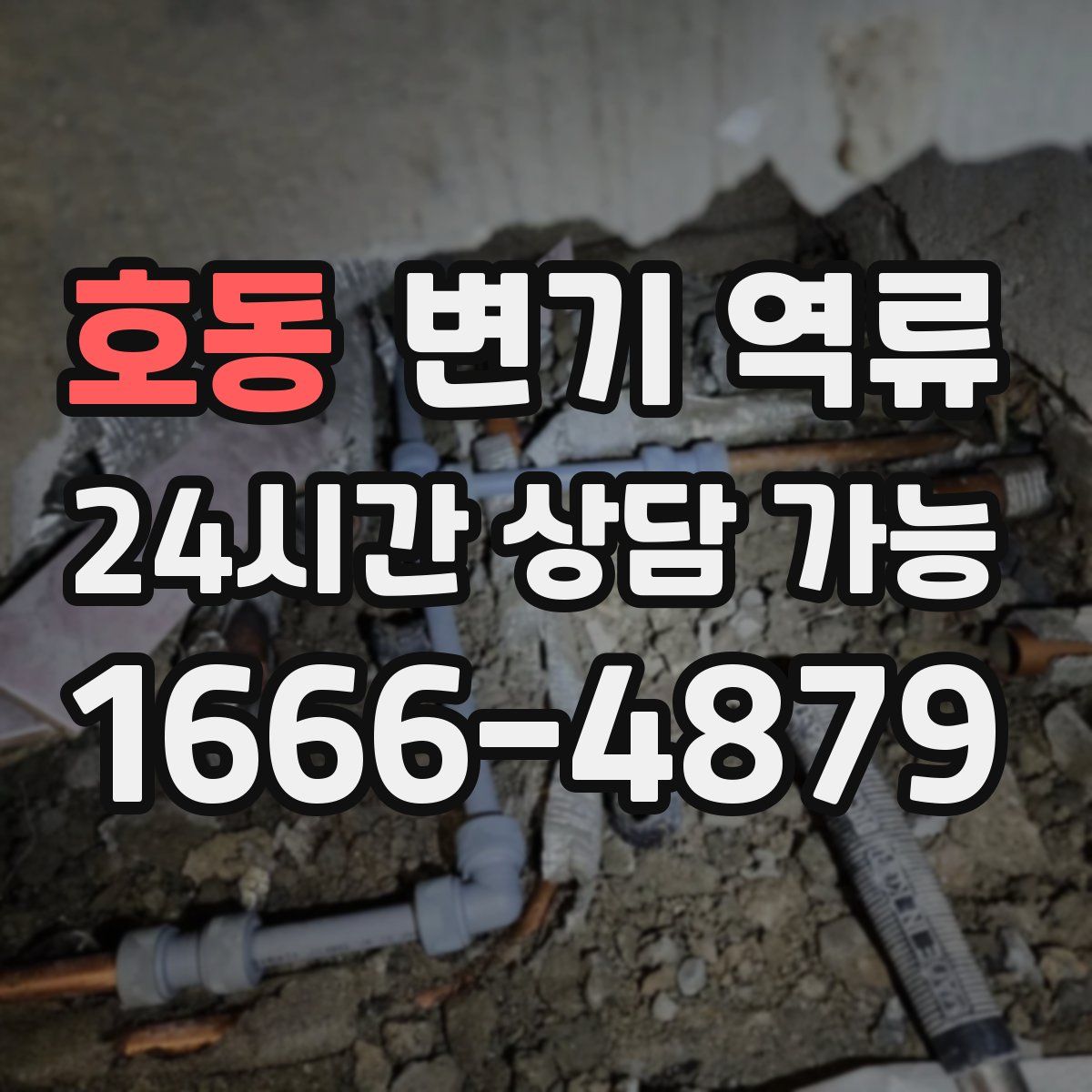 호동 변기 역류