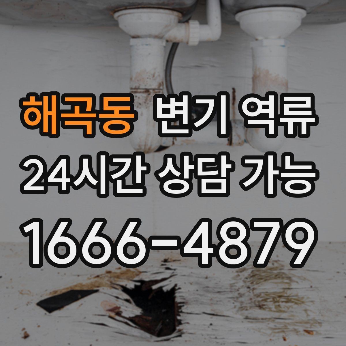 해곡동 변기 역류 역류가 한 번에 확 올라오면 의심할 원인