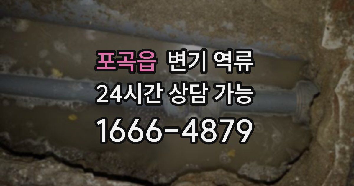 포곡읍 변기 역류