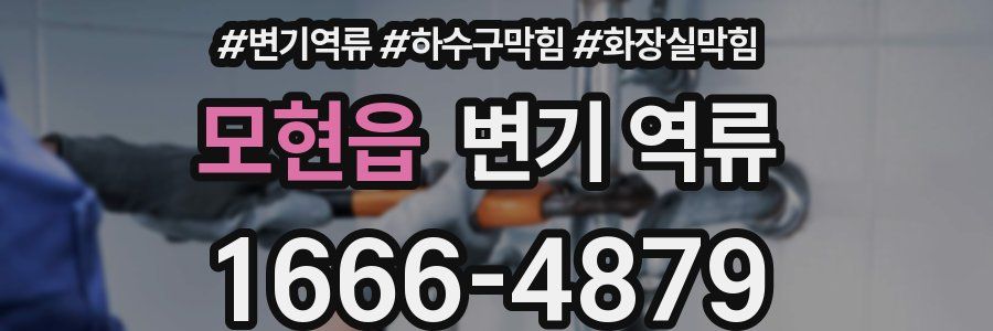 모현읍 변기 역류