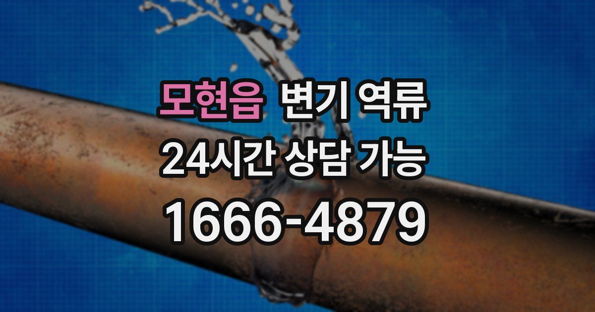 모현읍 변기 역류