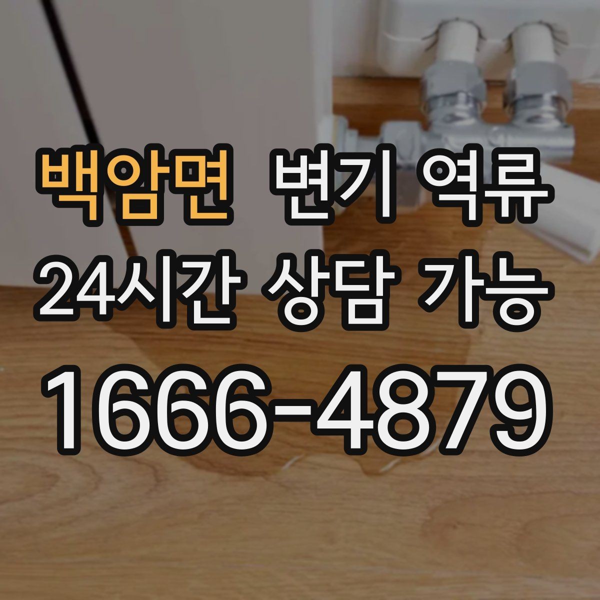 백암면 변기 역류 재발 가능성이 높은 집의 공통점