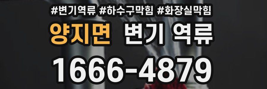 양지면 변기 역류