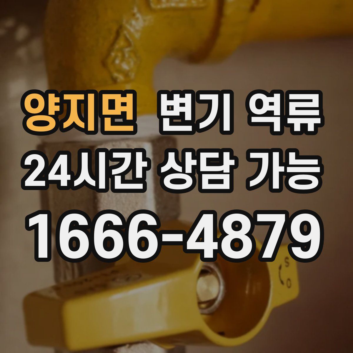 양지면 변기 역류