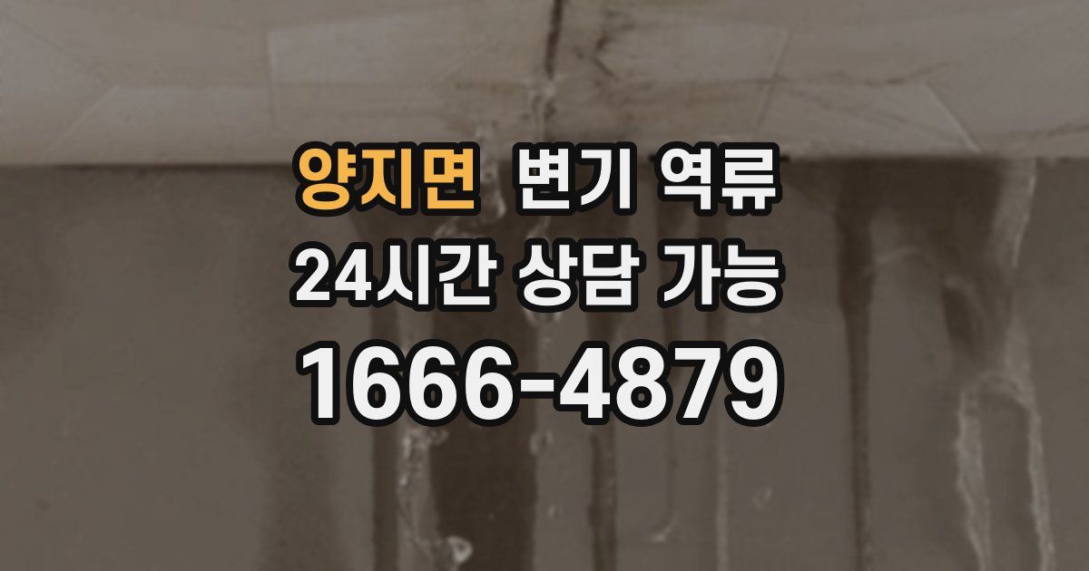 양지면 변기 역류