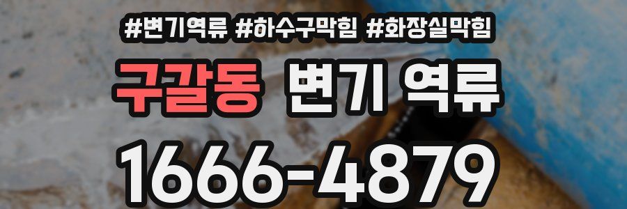 구갈동 변기 역류