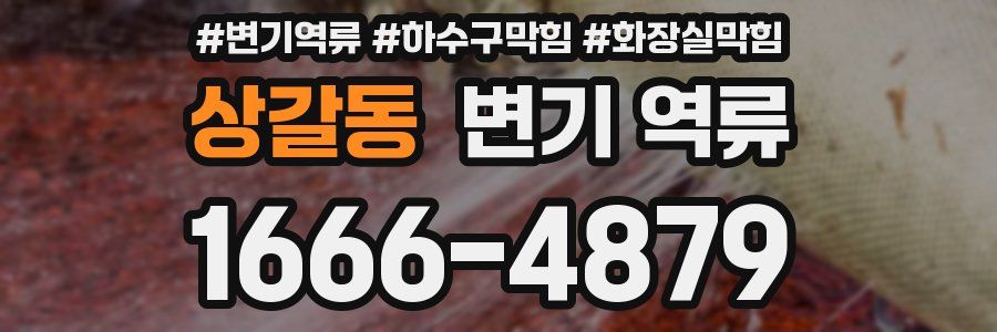 상갈동 변기 역류