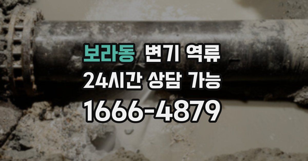 보라동 변기 역류