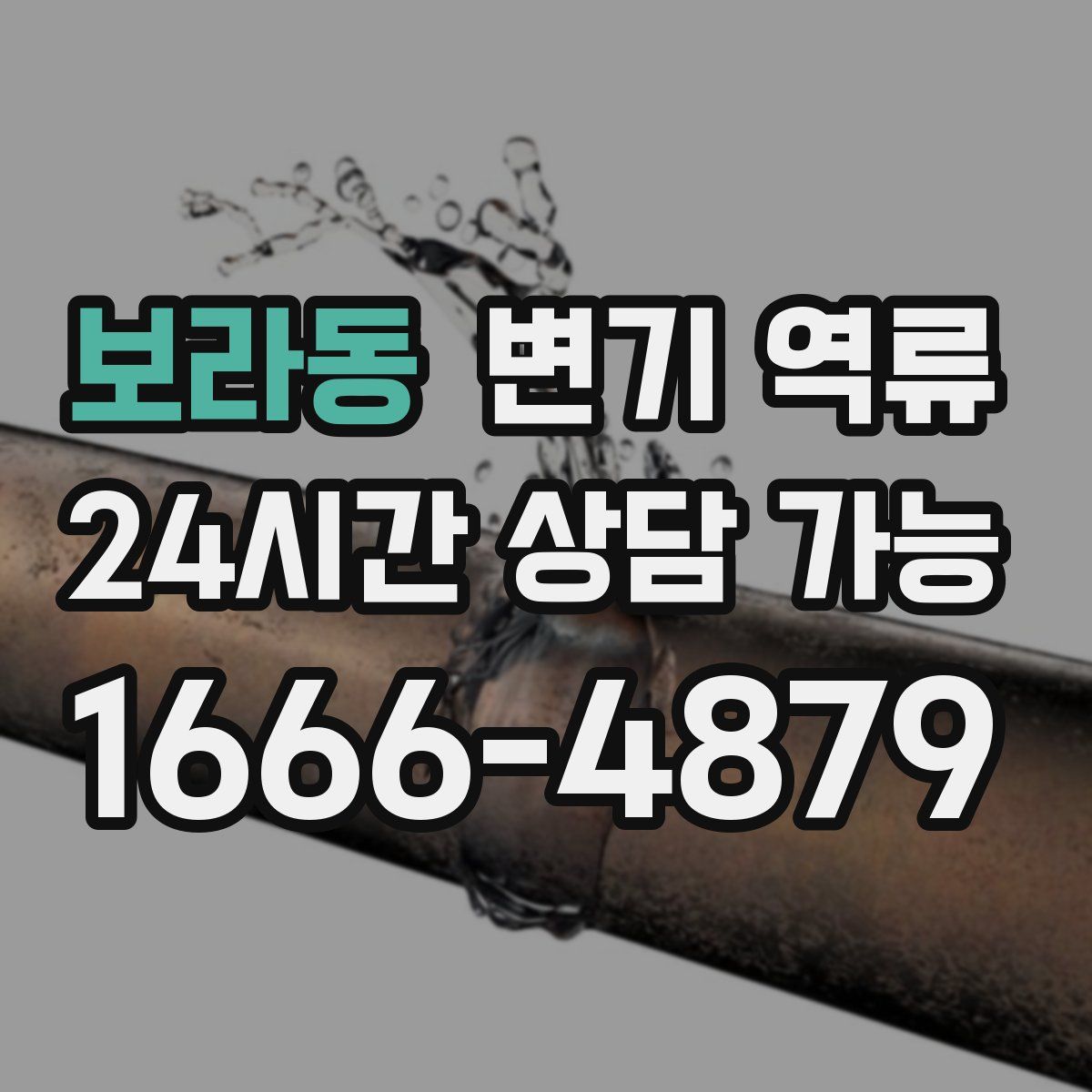 보라동 변기 역류