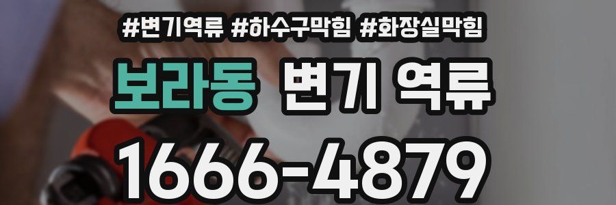 보라동 변기 역류